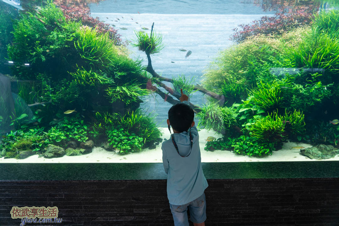 墨田水族館