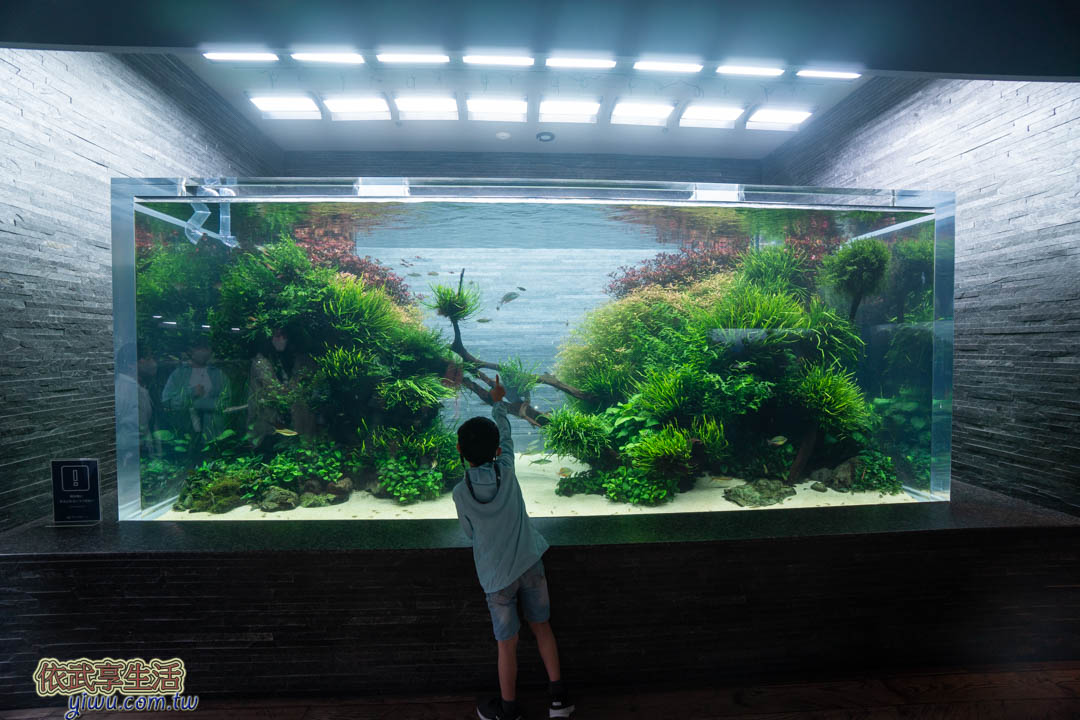 墨田水族館