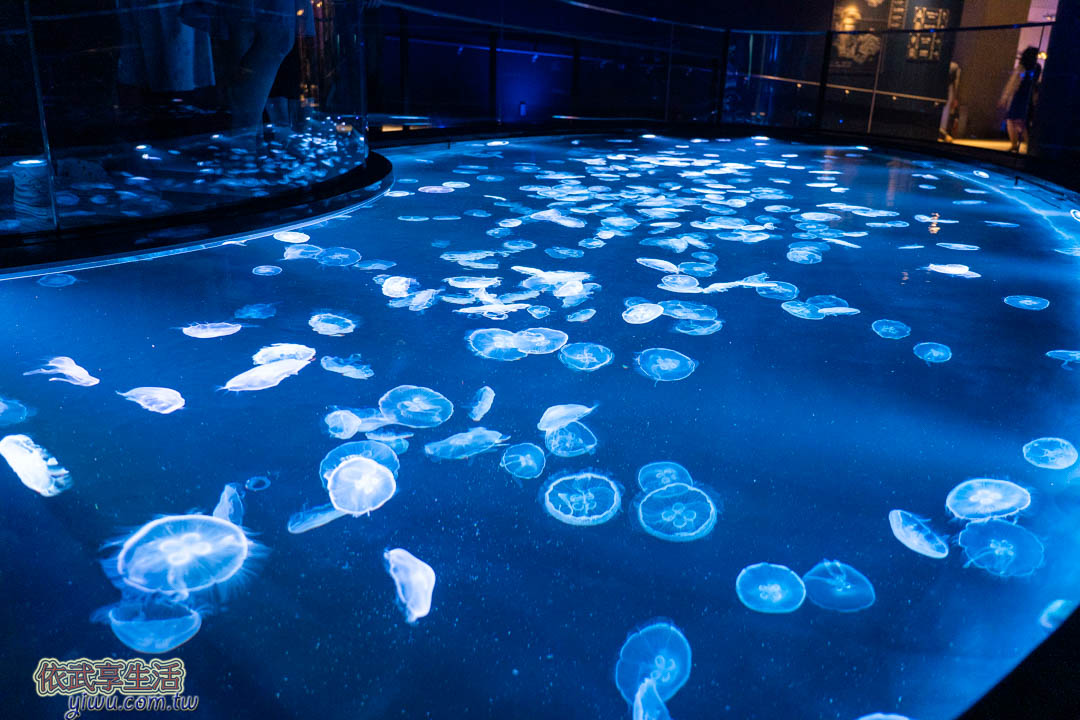 墨田水族館