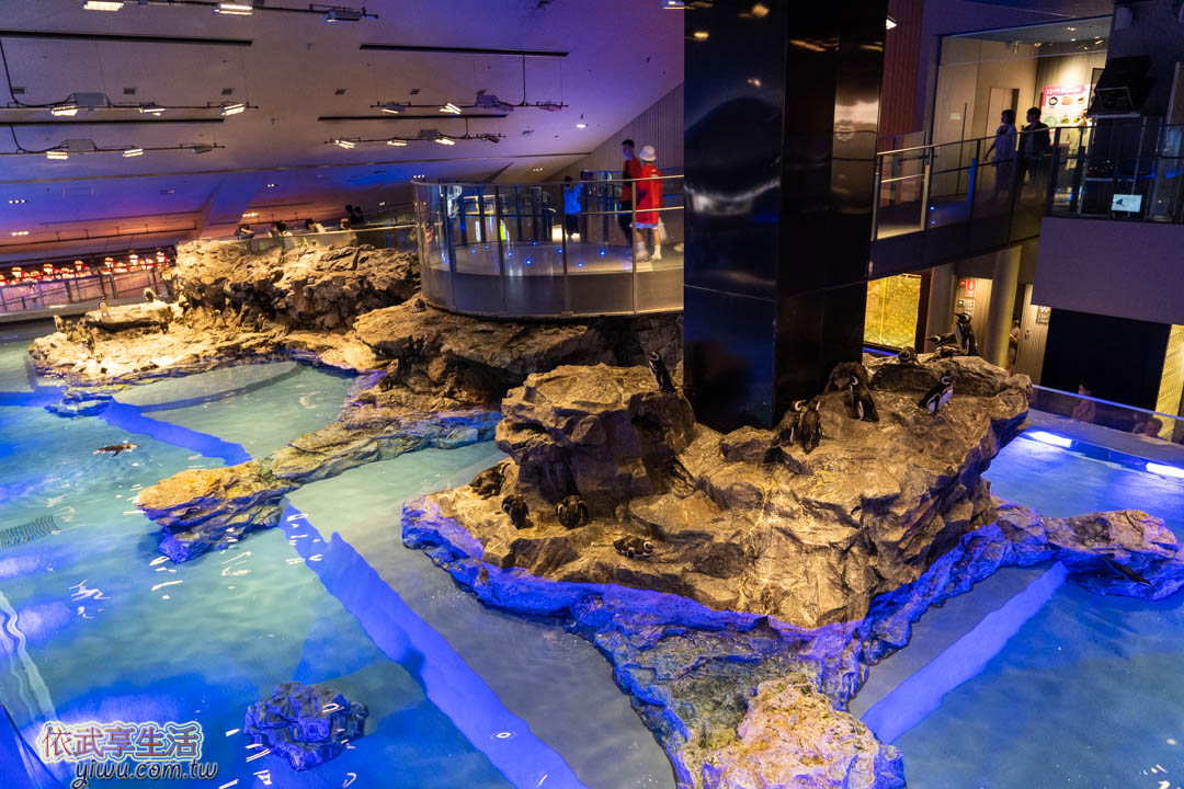墨田水族館