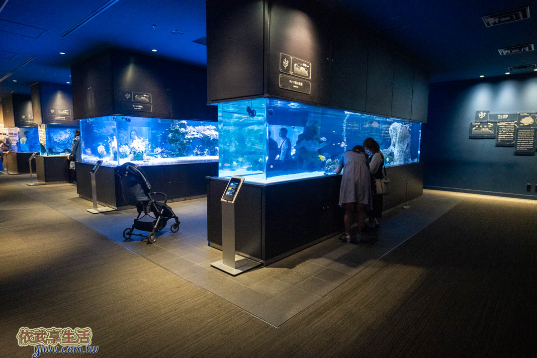 墨田水族館