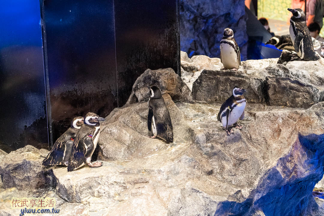 墨田水族館