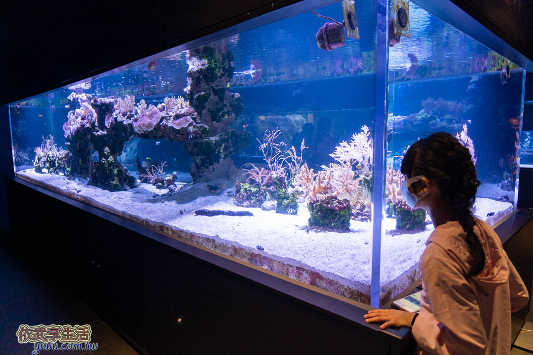 墨田水族館