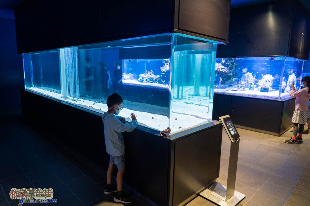 墨田水族館