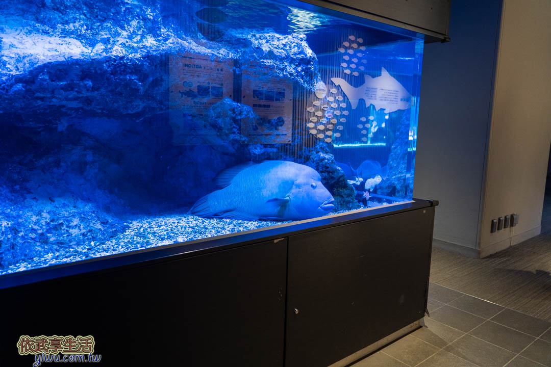 墨田水族館