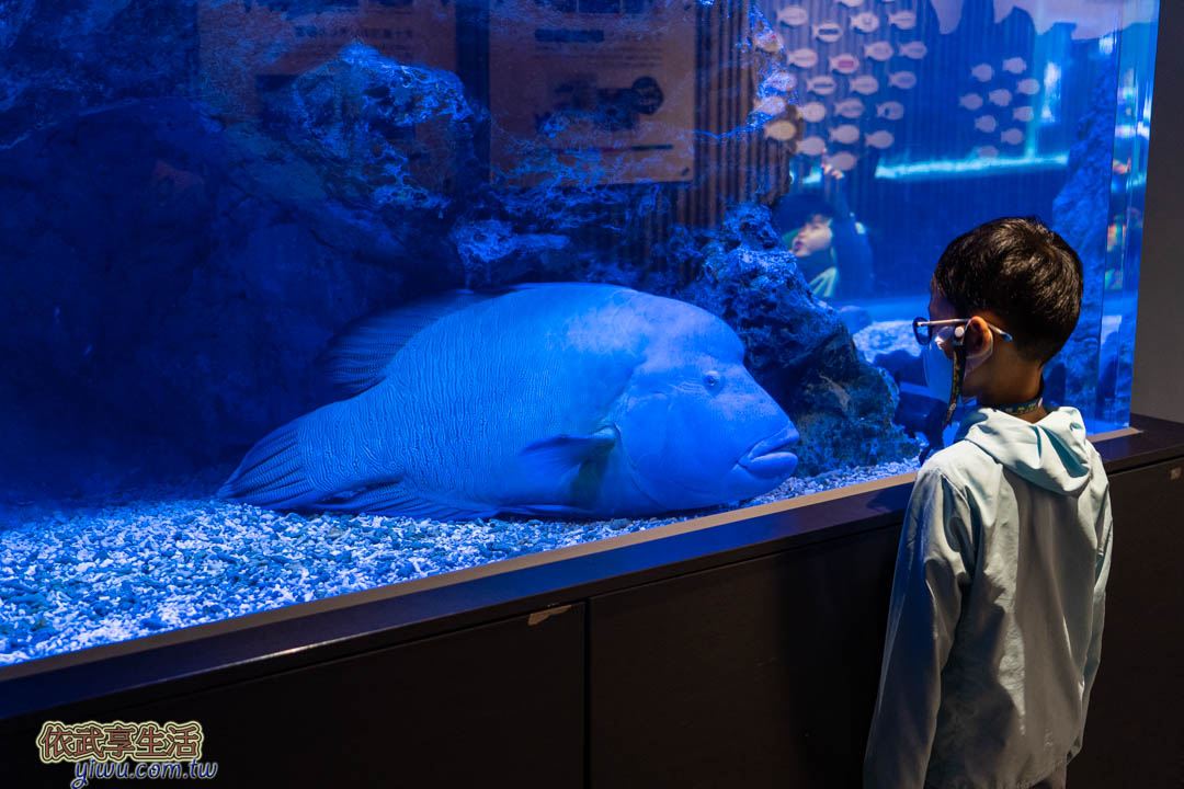墨田水族館