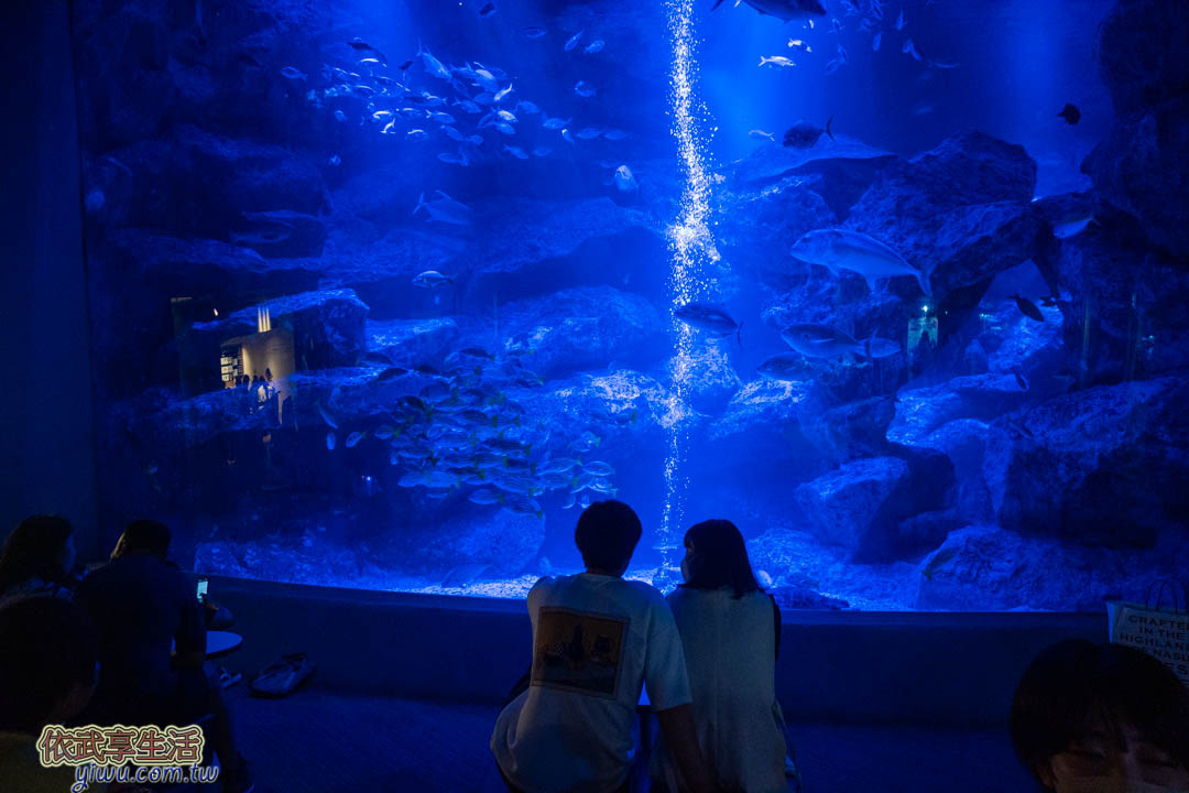墨田水族館