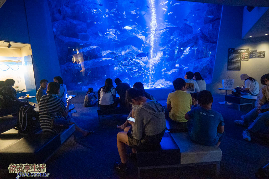 墨田水族館