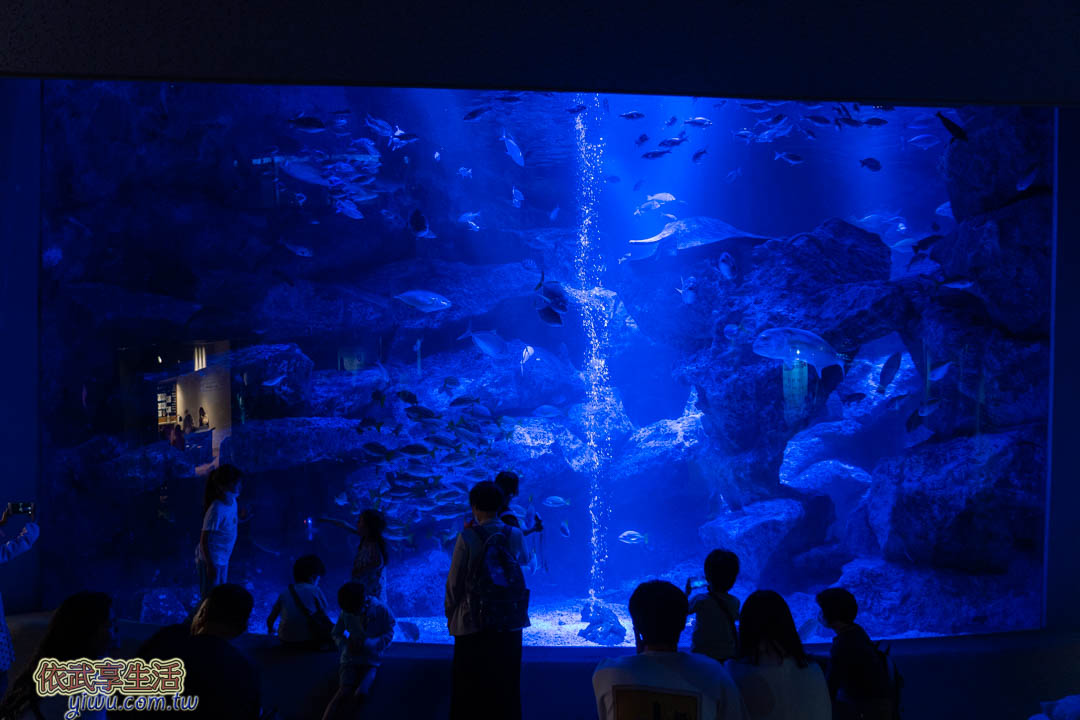 墨田水族館
