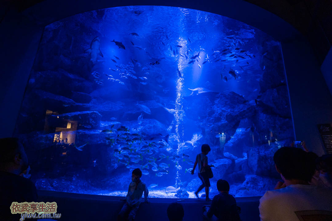墨田水族館