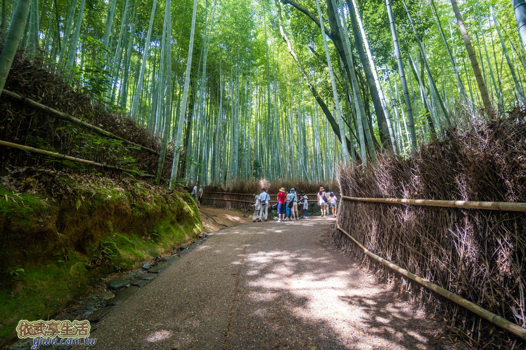 京都嵐山一日