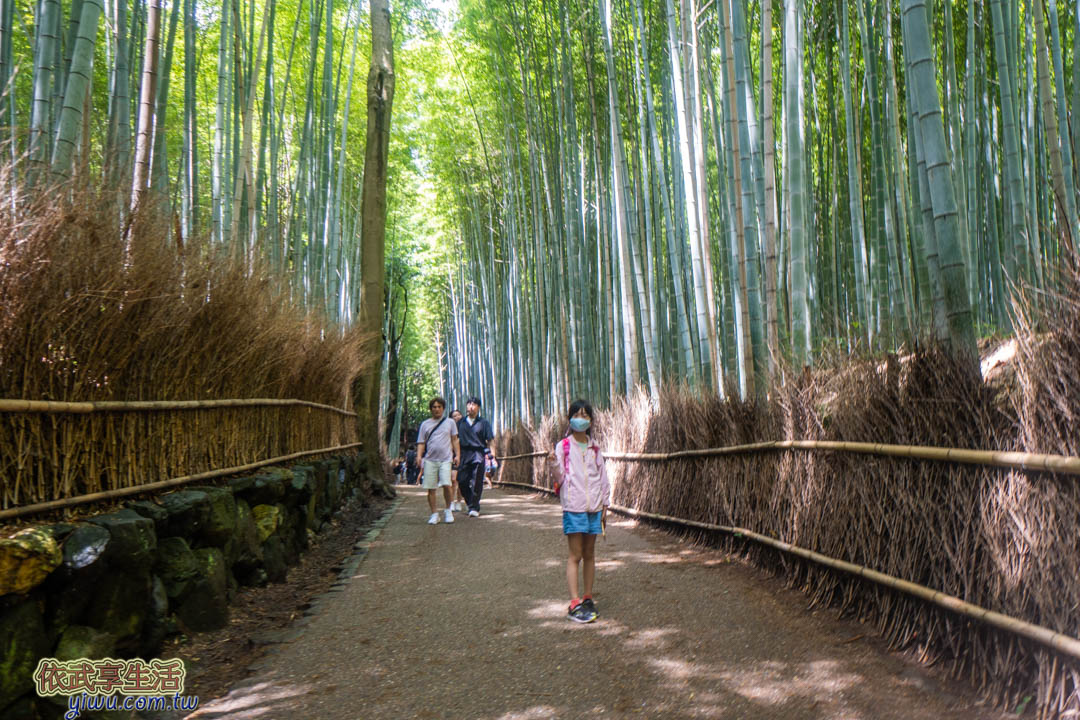 京都嵐山一日