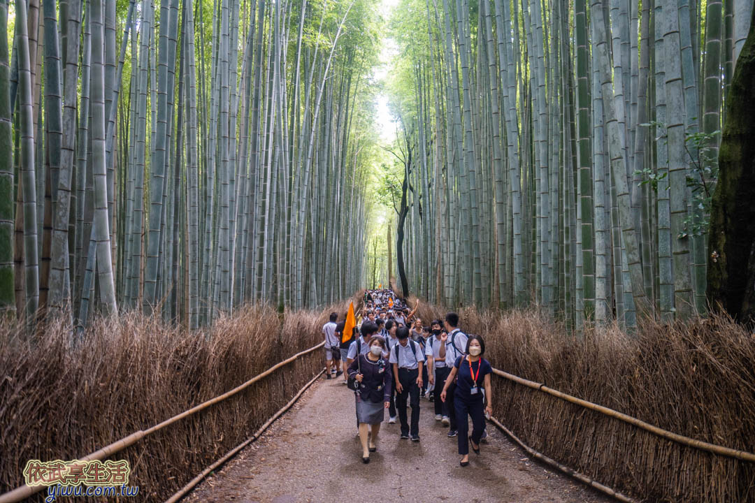 京都景點