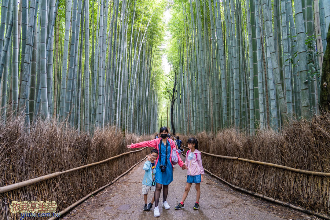 嵐山竹林