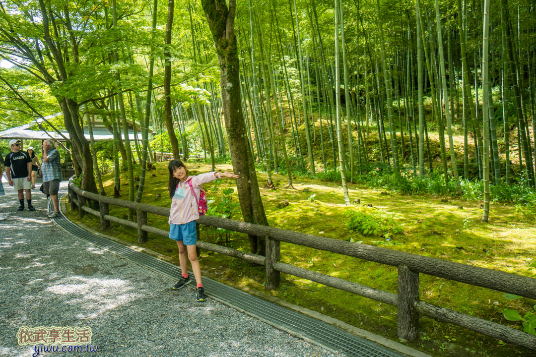 天龍寺