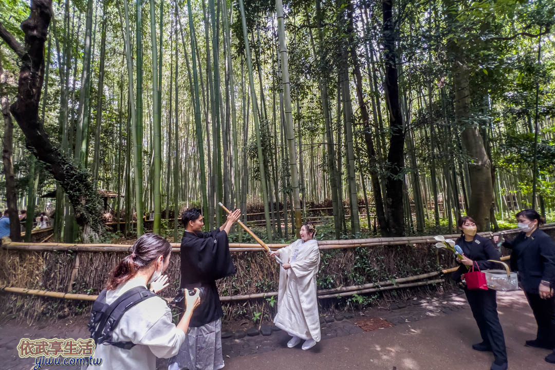 京都嵐山一日