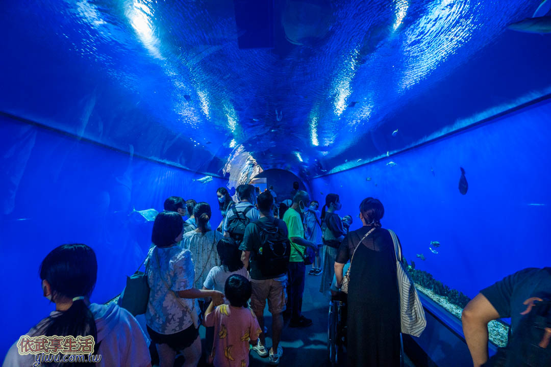 海遊館