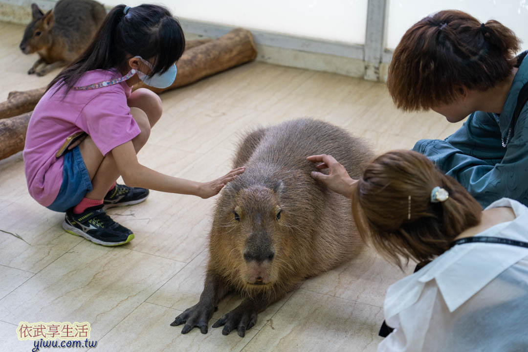天保山動物園