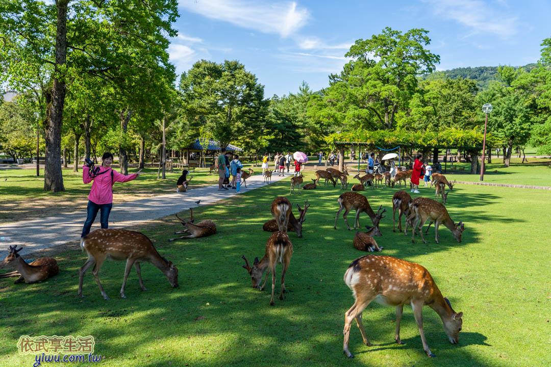奈良公園