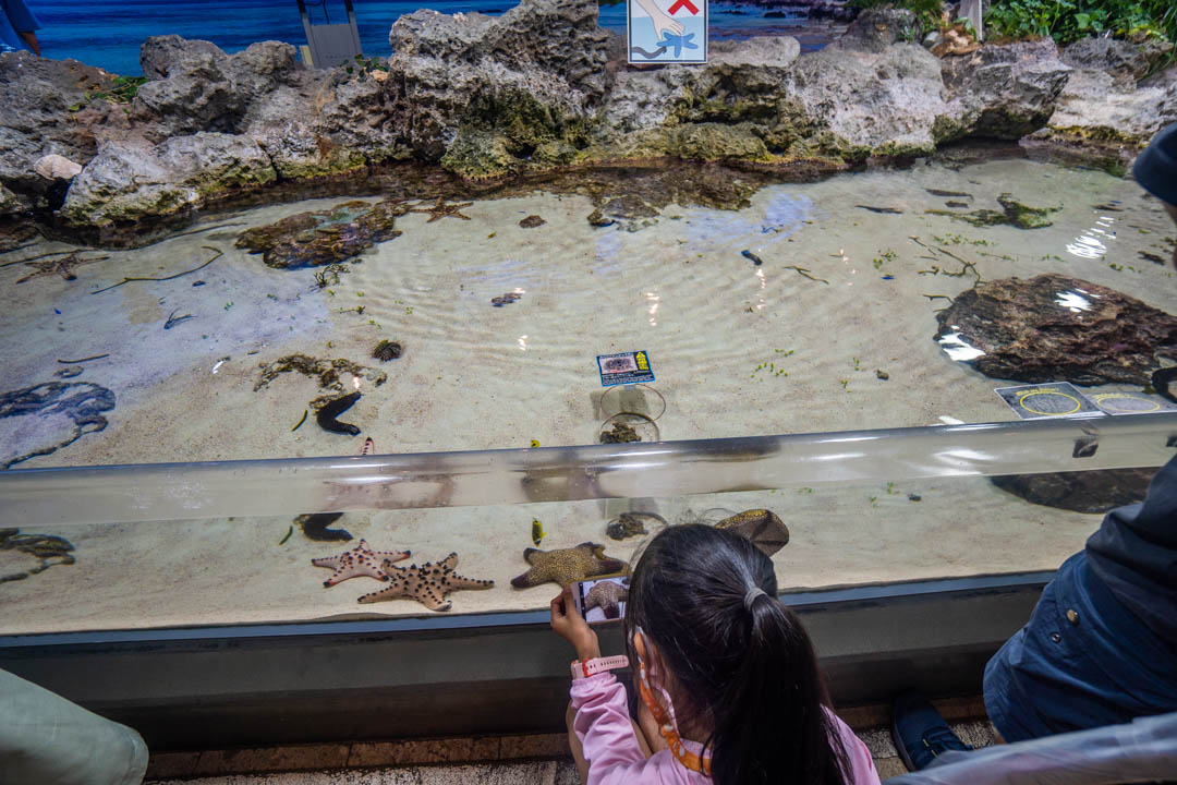 美麗海水族館