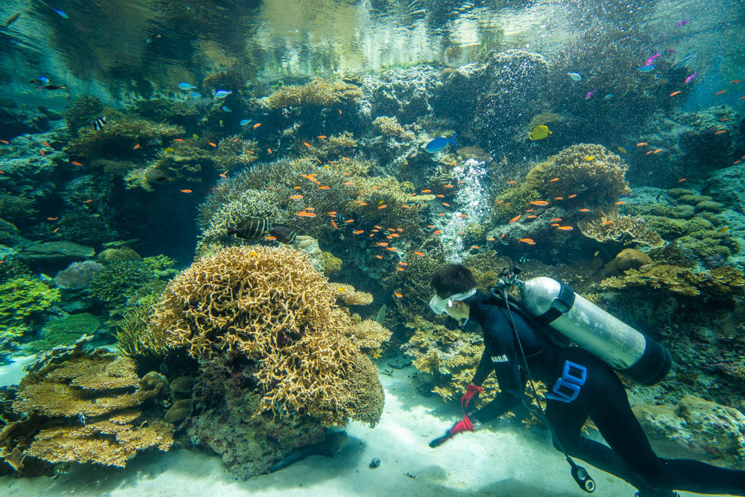 美麗海水族館