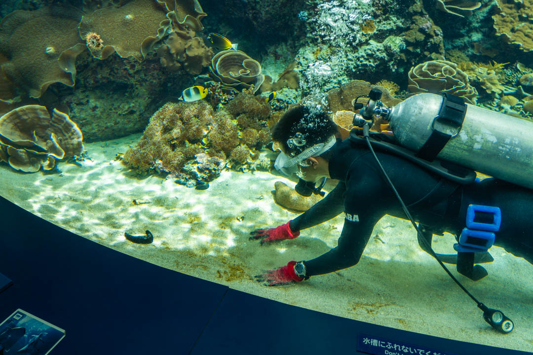 美麗海水族館
