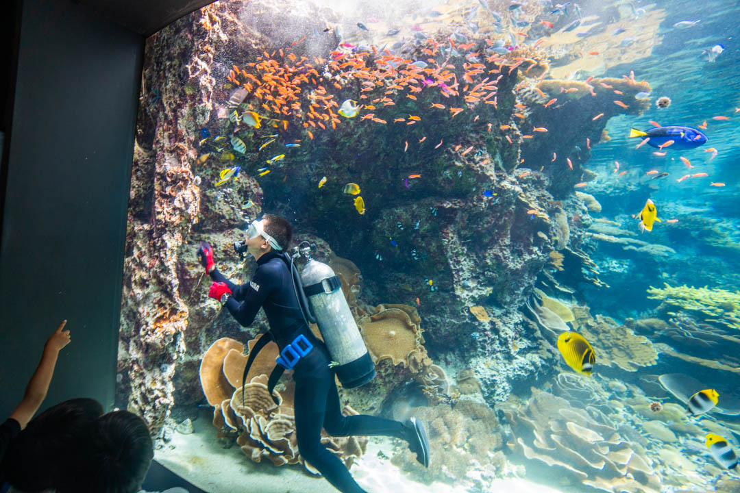 美麗海水族館