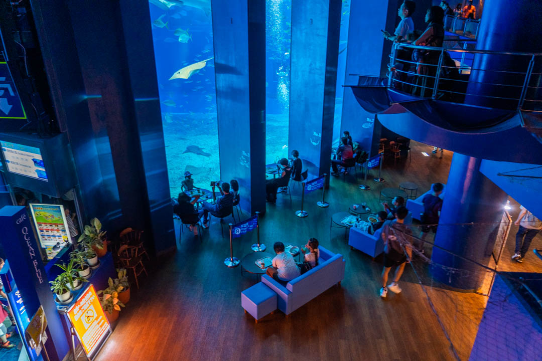 美麗海水族館