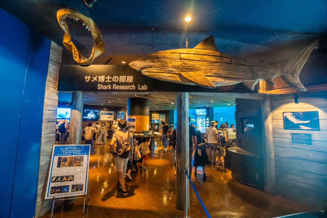 美麗海水族館