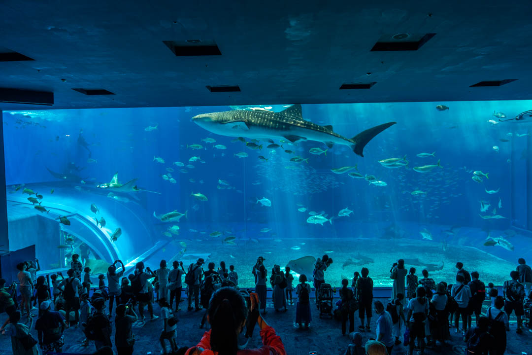 美麗海水族館
