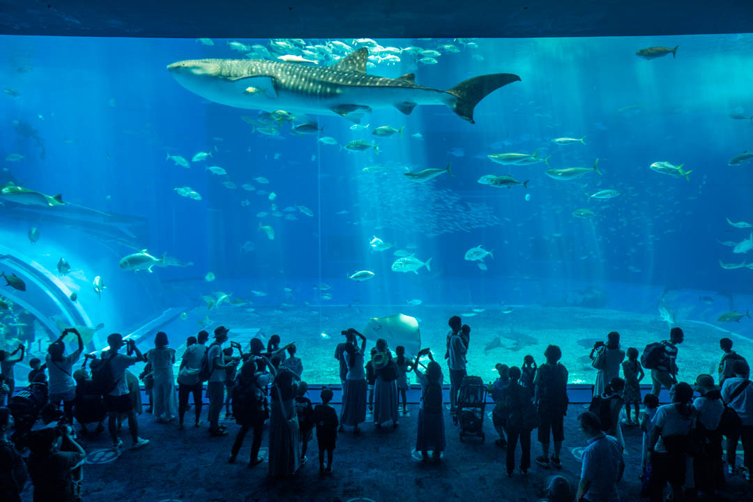 美麗海水族館
