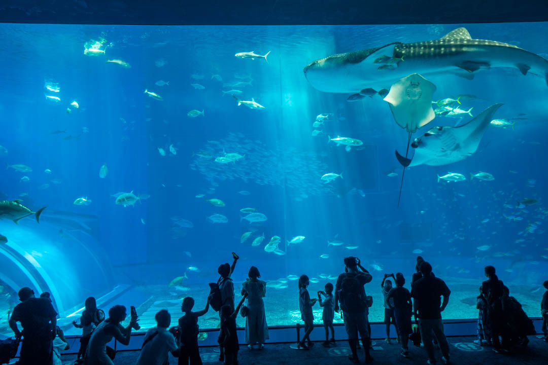 美麗海水族館