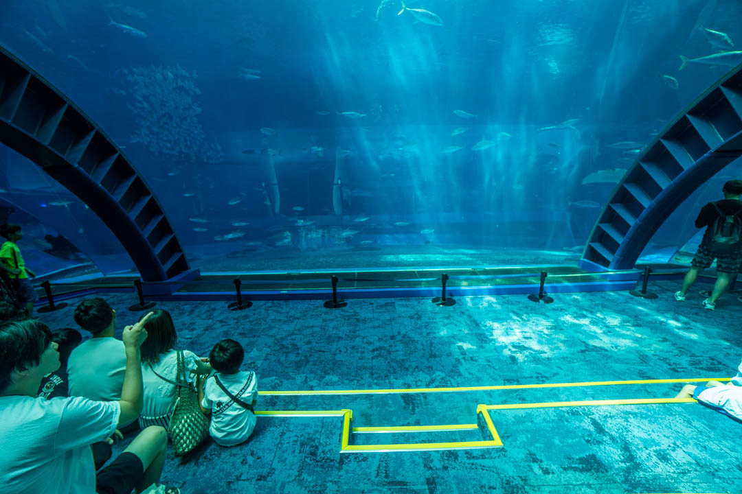 美麗海水族館