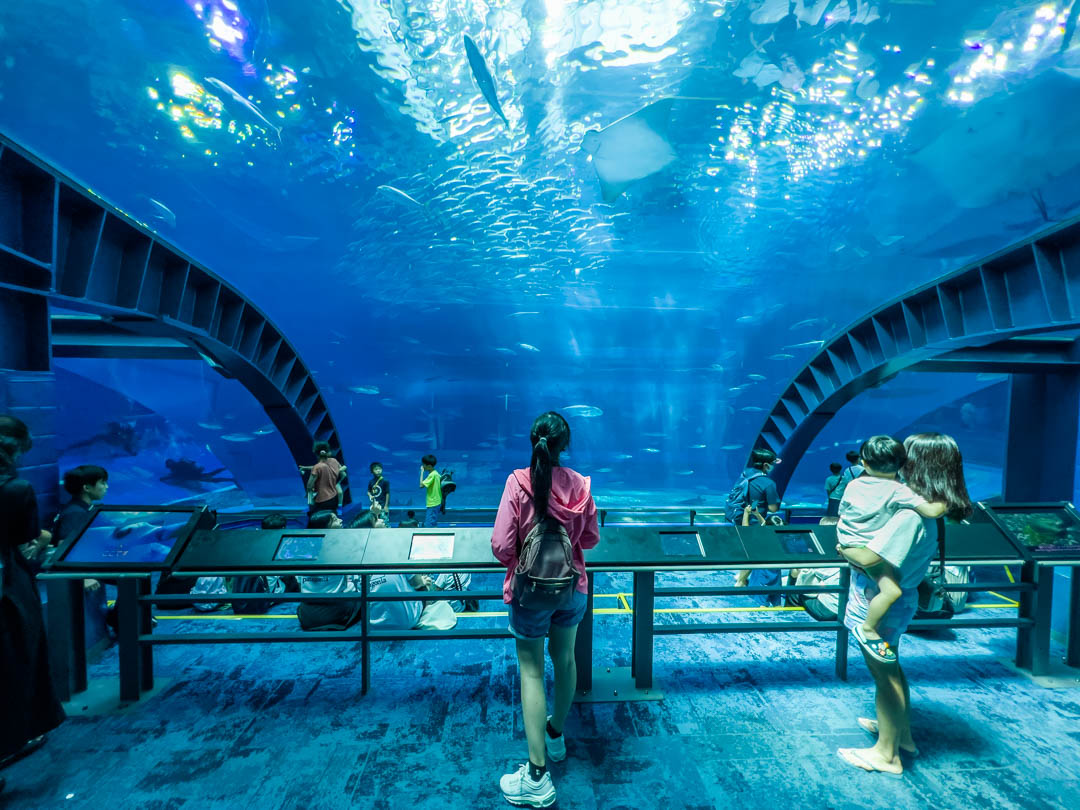 美麗海水族館