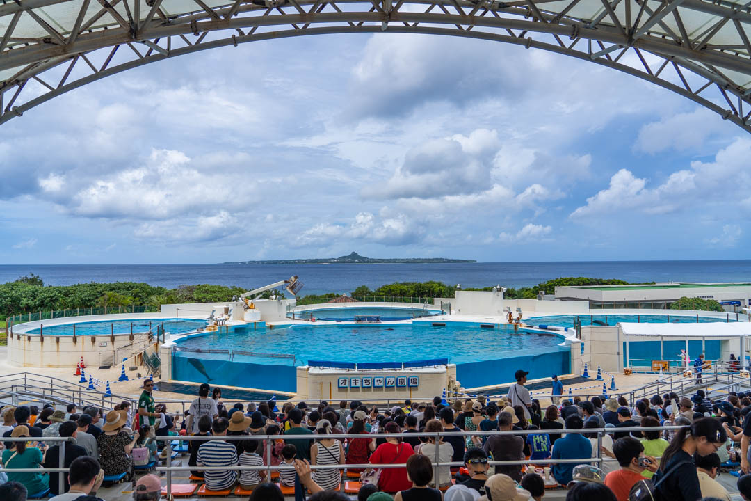 美麗海水族館海豚秀時間