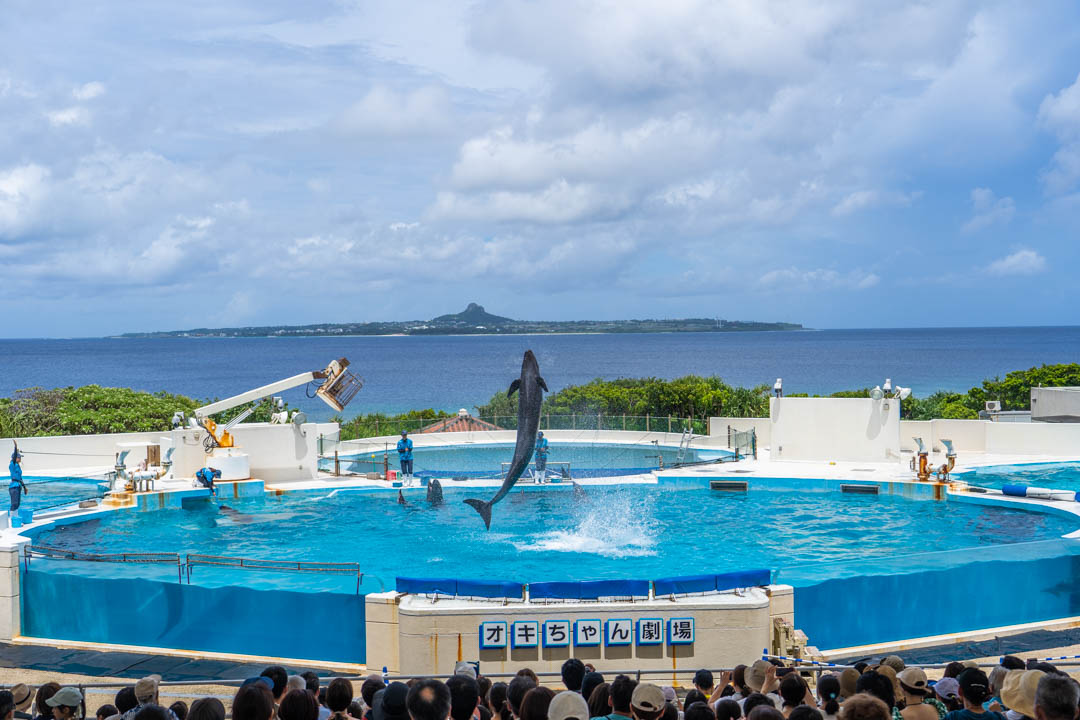 美麗海水族館海豚秀時間