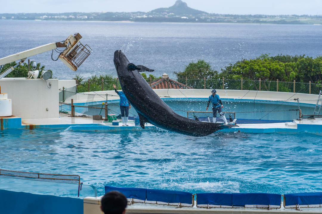 美麗海水族館
