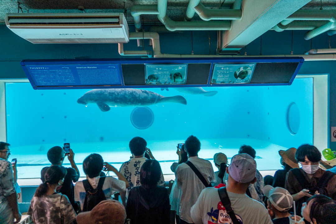 美麗海水族館