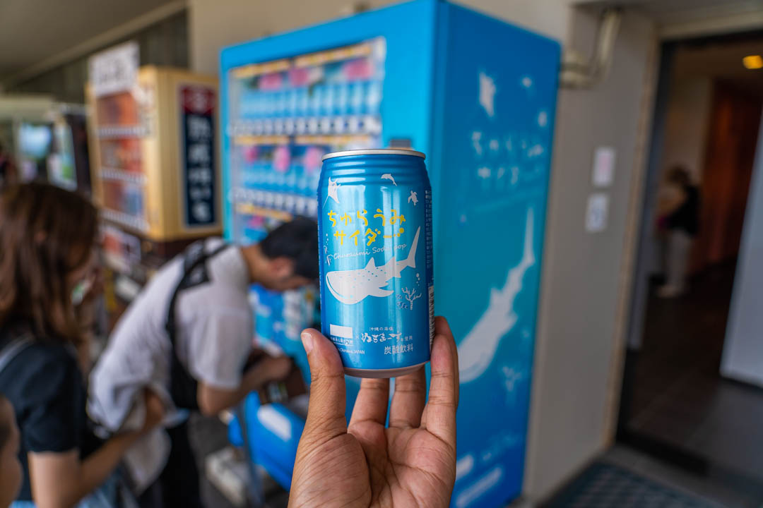 美麗海水族館必喝
