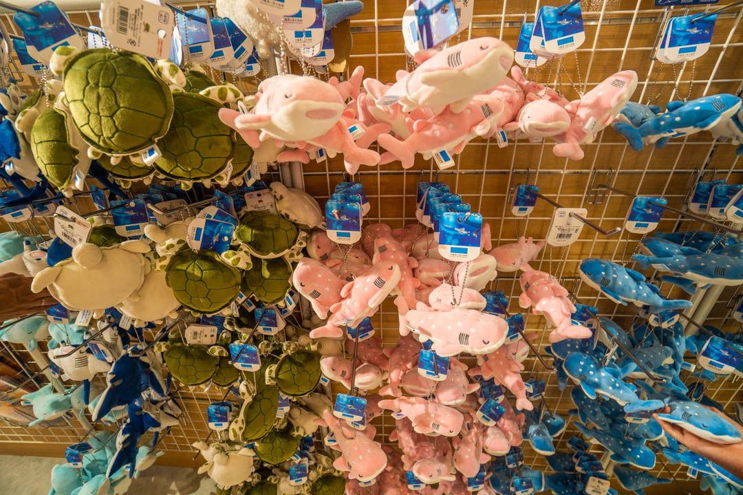 美麗海水族館