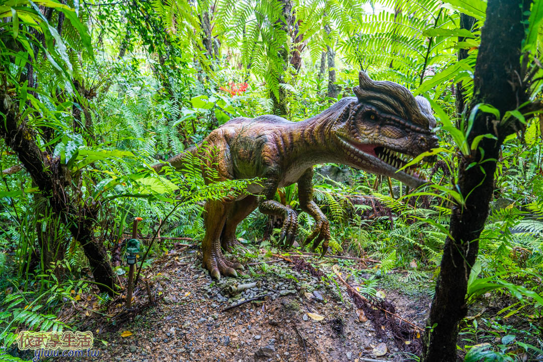DINO恐龍公園