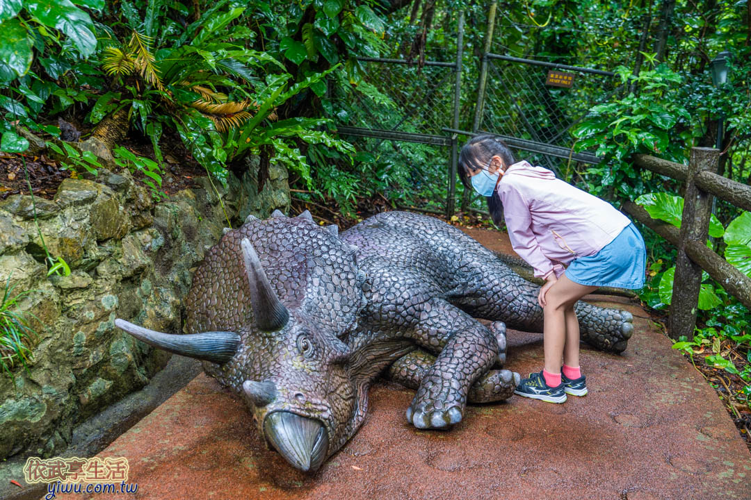 DINO恐龍公園