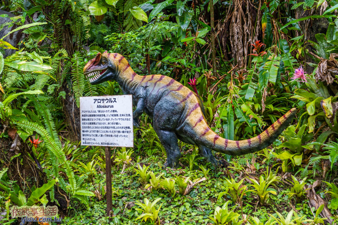 DINO恐龍公園