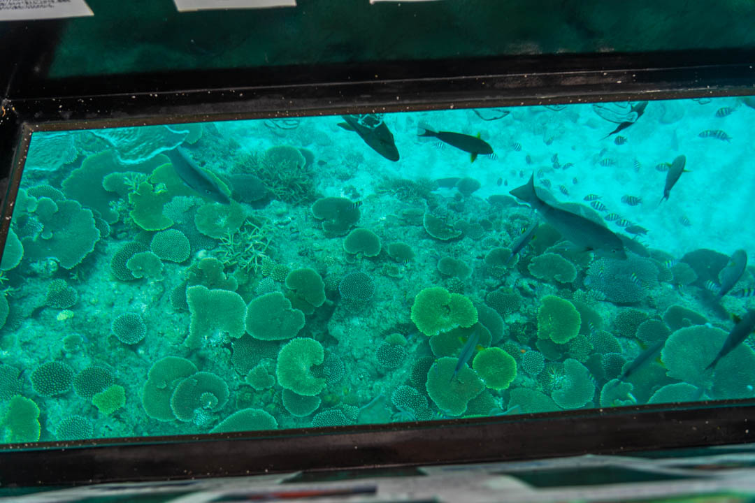 部瀨名海中公園