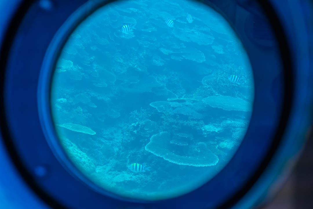 部瀨名海中公園