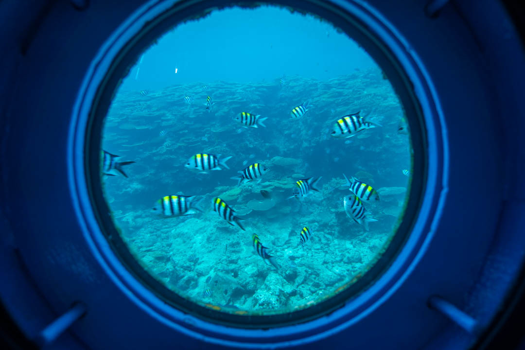 部瀨名海中公園