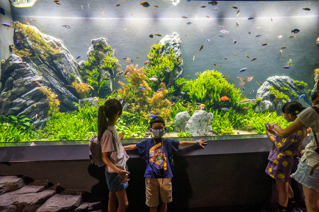 DMM水族館