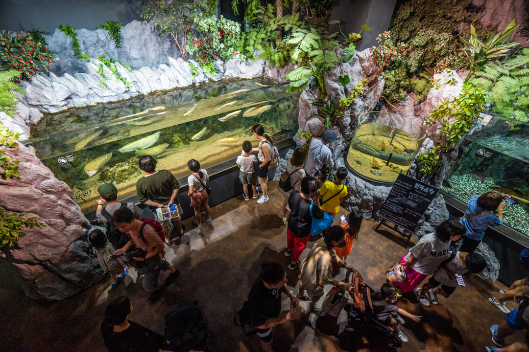 DMM水族館