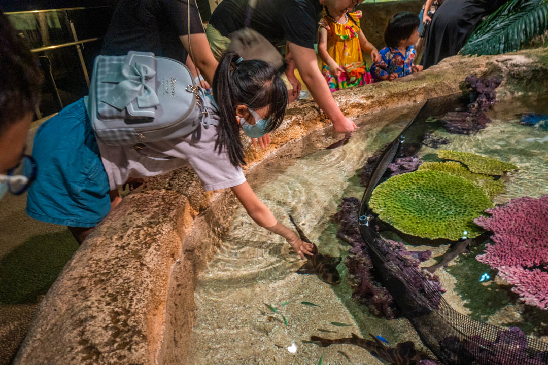 DMM水族館