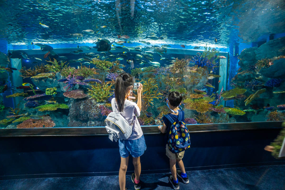 DMM水族館